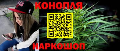 мдпв Бердск