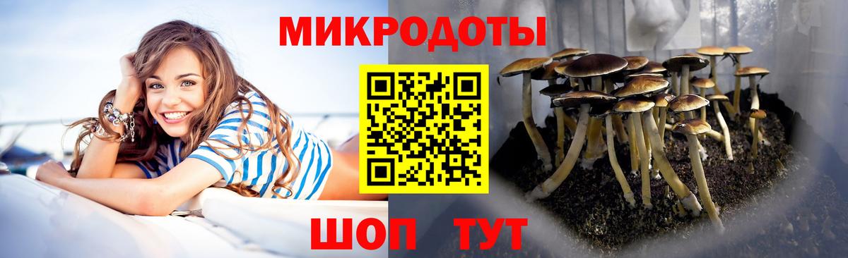 Галлюциногенные грибы мицелий Свободный